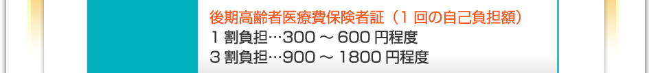 料金：後期高齢者医療被保険者証（1回の自己負担額）　1割負担…300～600円程度　3割負担…900～1800円程度