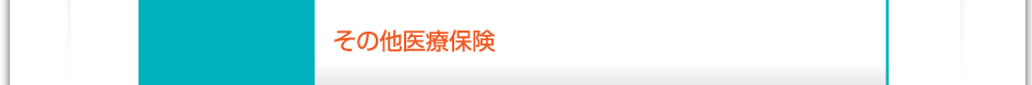 料金：その他医療保険